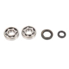 ALL BALLS - CRANKSHAFT BEARING & SEAL KIT - 24-1003