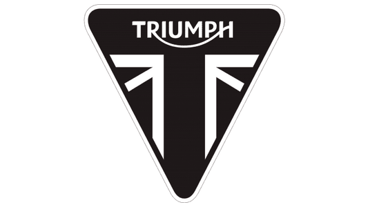 TRIUMPH - Sump Plug, M14 x 1.5 x 10, Aluminum - T3450216