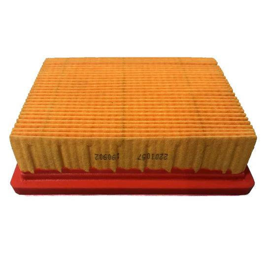 TRIUMPH - Air Filter - T2201057