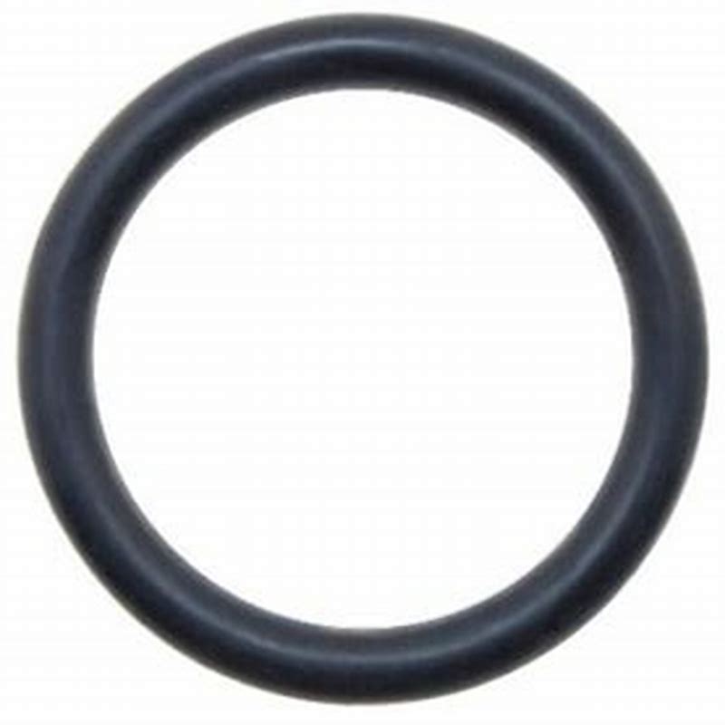 Triumph OEM T3600191 O Ring, 16 X 2. genuine replacement part