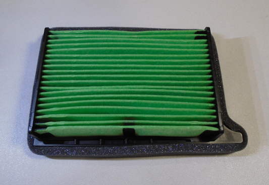 TRIUMPH - AIR FILTER - T2205986
