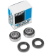 DRAG SPECIALTIES - 73-99 WHEEL BEARINGS W/SEALS KIT - 25-1001