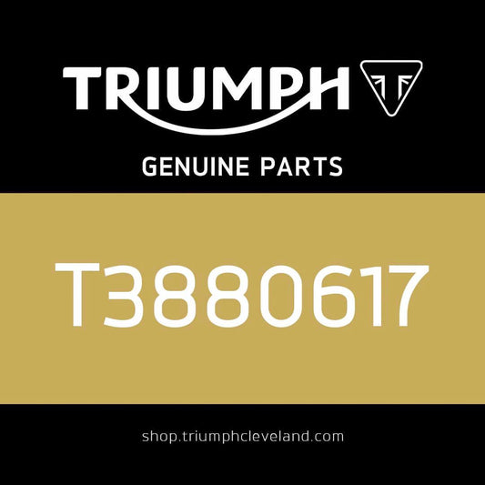 TRIUMPH - ANTI ROTATION JIG, KUPPLUNG - T3880617