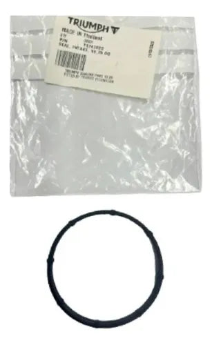 TRIUMPH - Seal, Intake - T1242023
