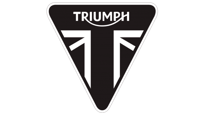 TRIUMPH - 530 chain 110l - T2017275