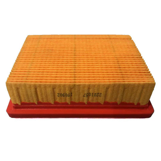 TRIUMPH - Air Filter - T2201813