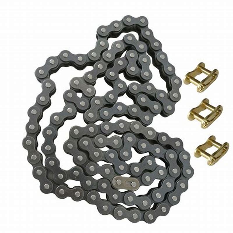 Triumph OEM T2017275 530 Chain, 110L genuine replacement part