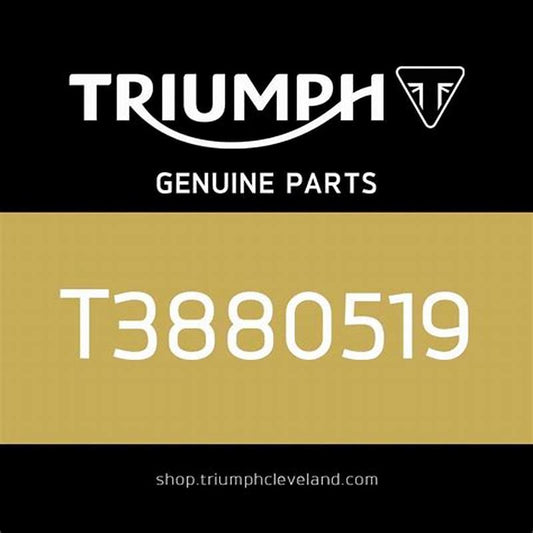 Triumph OEM T3880539 Bearing Install genuine replacement part