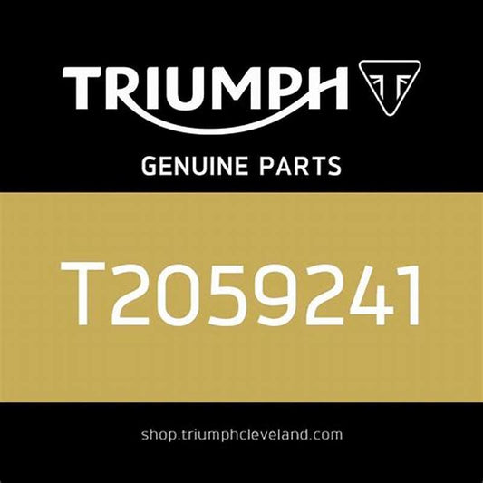 Triumph OEM T2059241 Rubbing Strip,c genuine replacement part