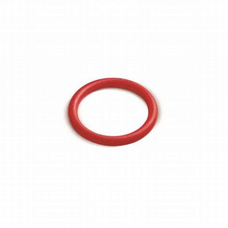 Triumph OEM T3600106 O-ring, Id 24 X genuine replacement part